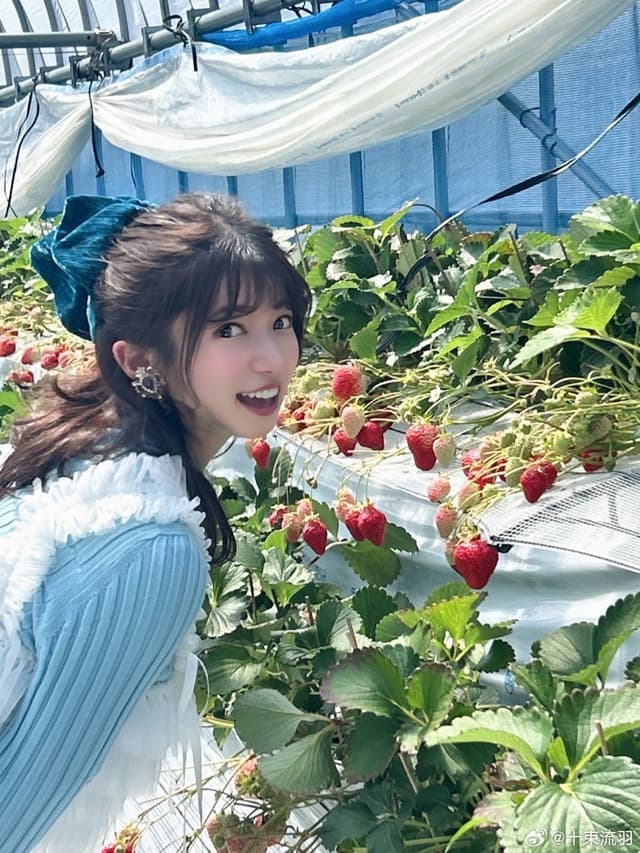 我去采草莓了，可以随便吃，非常好吃。中国有草莓采摘吗？来源：RUU_Official